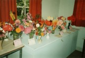 AWI468 Year unknown Flower Show exhibits AW