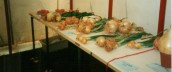 AWI471 Flower Show veg exhibits