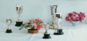 AWI474  1992 Flower Show cups - in Ilminster Scouts Tent