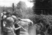 CLR214 School trip to Paignton Zoo 