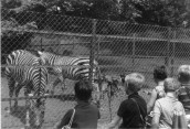 CLR215 School trip to Paignton Zoo 