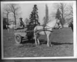 DHO075 1939 Mr Robert Hole - The Beeches with Simon the horse
