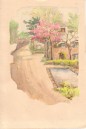 DHO086 Hunt's House pond by Dorothy Hole 