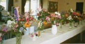 JSI472 2007 Flower Show
