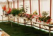 JSI475 1992 Flower Show in Ilminster Scouts Tent - 'flowers'