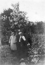 KGU775    42 Possibly Gummer family