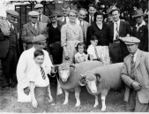 PWA442 1950s West Street Farm shepherd Fred Gale with some of their prize winning sheep