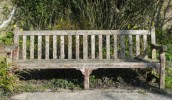 SWM347 St Michael's memorials - bench dediicated to Miss Kiddle, teacher at Seavington Village School