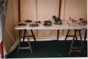 VJA479 1993 Flower show (3)