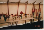 VJA484 1993 SGC Flower show (6)
