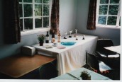 VJA490 1994 SGC Flower Show (3)