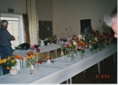 VJA493 2003 SGC Flower Show (1)
