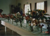 VJA494 2003 SGC Flower Show (3)