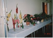 VJA496 2003 SGC Flower Show (4)