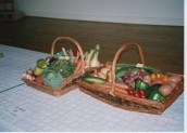 VJA497 2009 SGC Flower Show - 'baskets of vegetables' exhibits