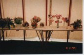 VJA481 1993 SGC Flower Show (4)