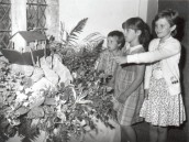 PPR600 1989 Seavington St Michael's Church Flower Festival - taken by D W J Wheadon